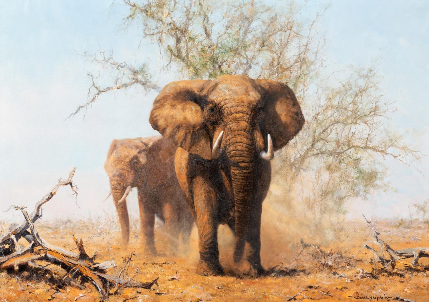 Two Elephants