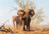 Two Elephants