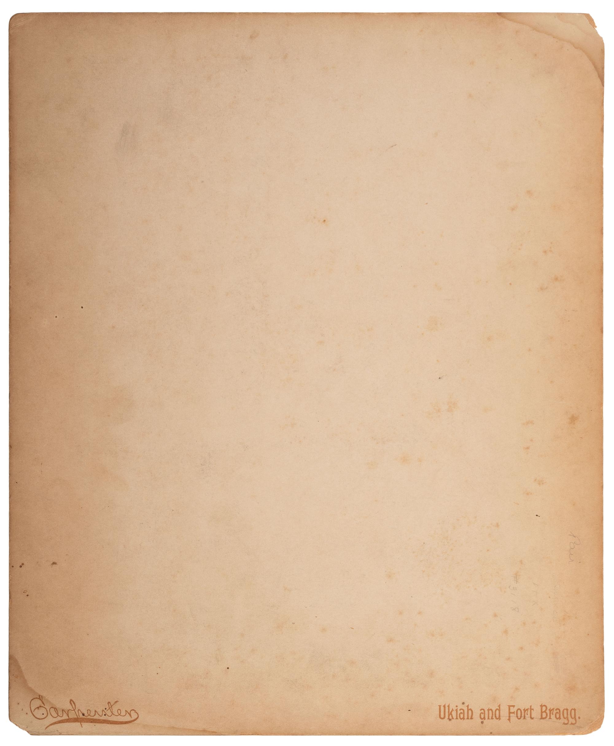 [CALIFORNIA]. Carpenter, Aurielus O. [ Unidentified Stagecoach with Small Town In Background in Northern California Foothills ], ca. 1875.