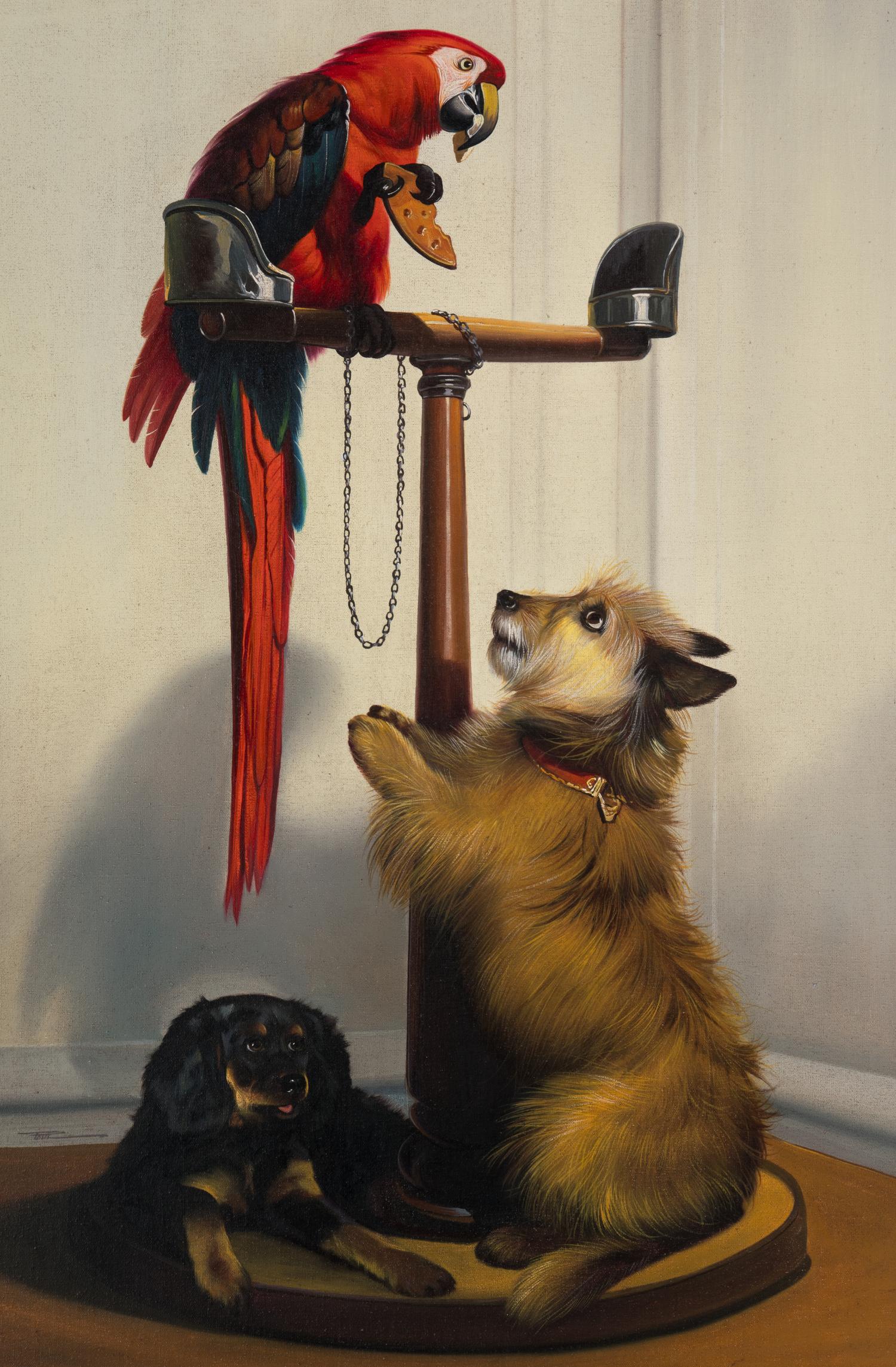 Islay, Tilco, a Macaw, and Two Lovebirds