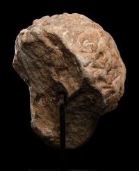 A Roman Marble Head of a Nubian Youth
