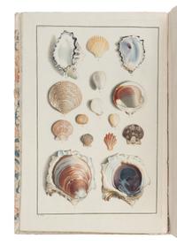 [NATURAL HISTORY]. BORN, Ignaz Edler von (1742-1791). Testacea Musei Caesarei Vindobonensis, quae jussu Mariae Theresiae Augustae disposuit et descripsit Ignatius a Born . Vienna: Gerold for Johann P. Kraus, 1780.