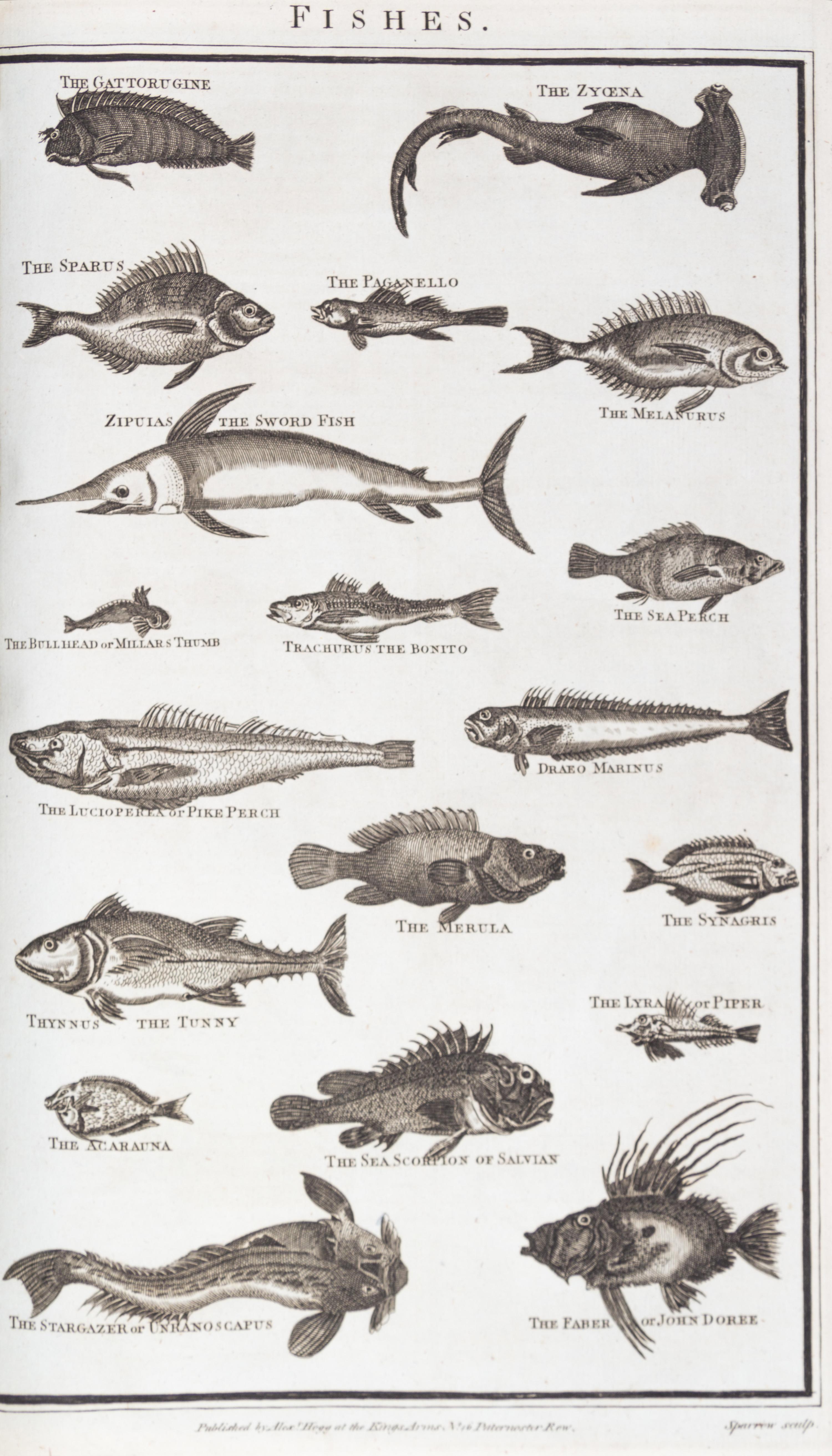 MILLAR, G.H. A New...System of Natural History... London, [1785] With 85 engraved plates.