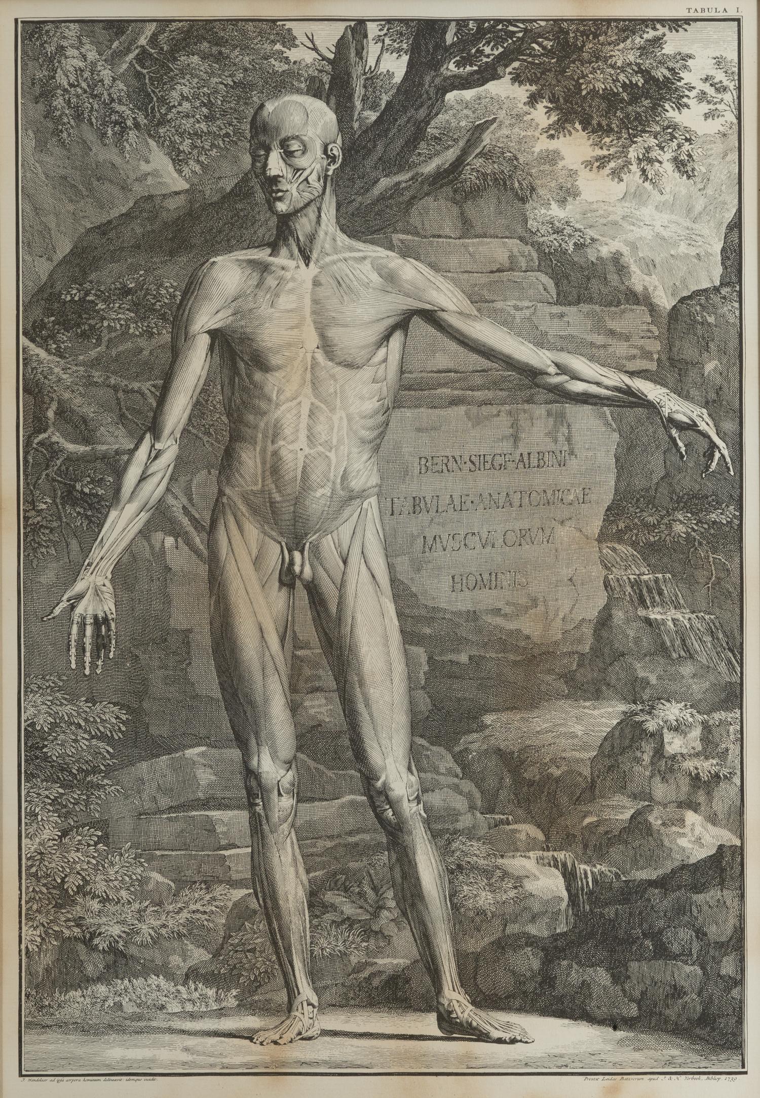 Tabulae sceleti et musculorum corporis humani (three works)
