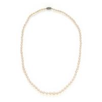 Cultured Pearl Necklace