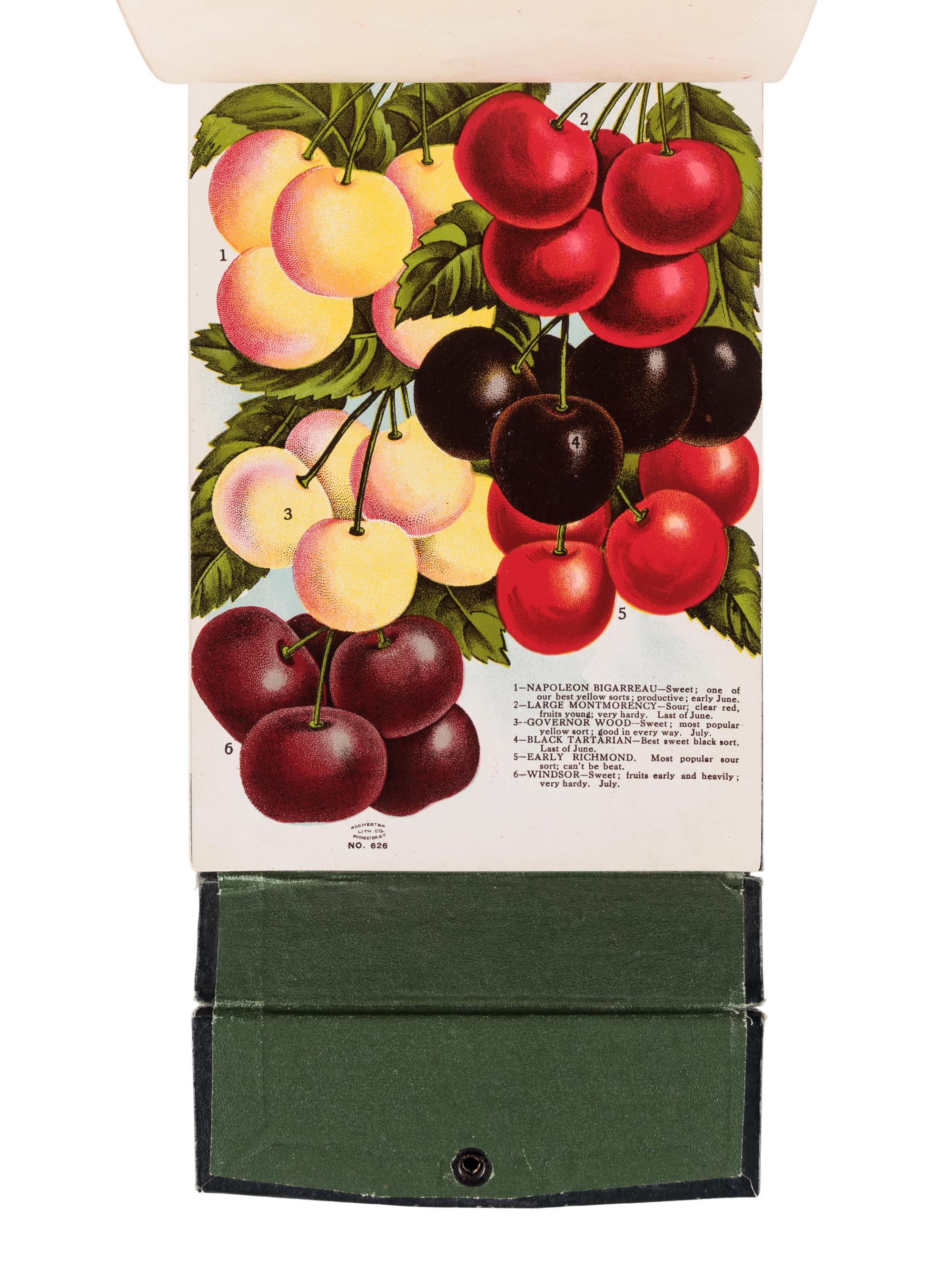 [SALESMAN'S CATALOGUE]. A specimen book for Washington Nursery Co., Toppenish, Washington. Rochester, NY: Rochester Lithographing and Printing Co. or Christy Inc., n.d.