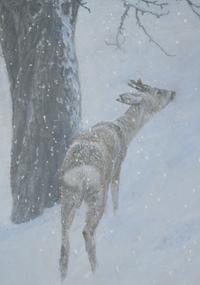 Old Orchard and Roe Deer