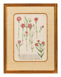 A Set of Six Hand-Colored Botanical Engravings