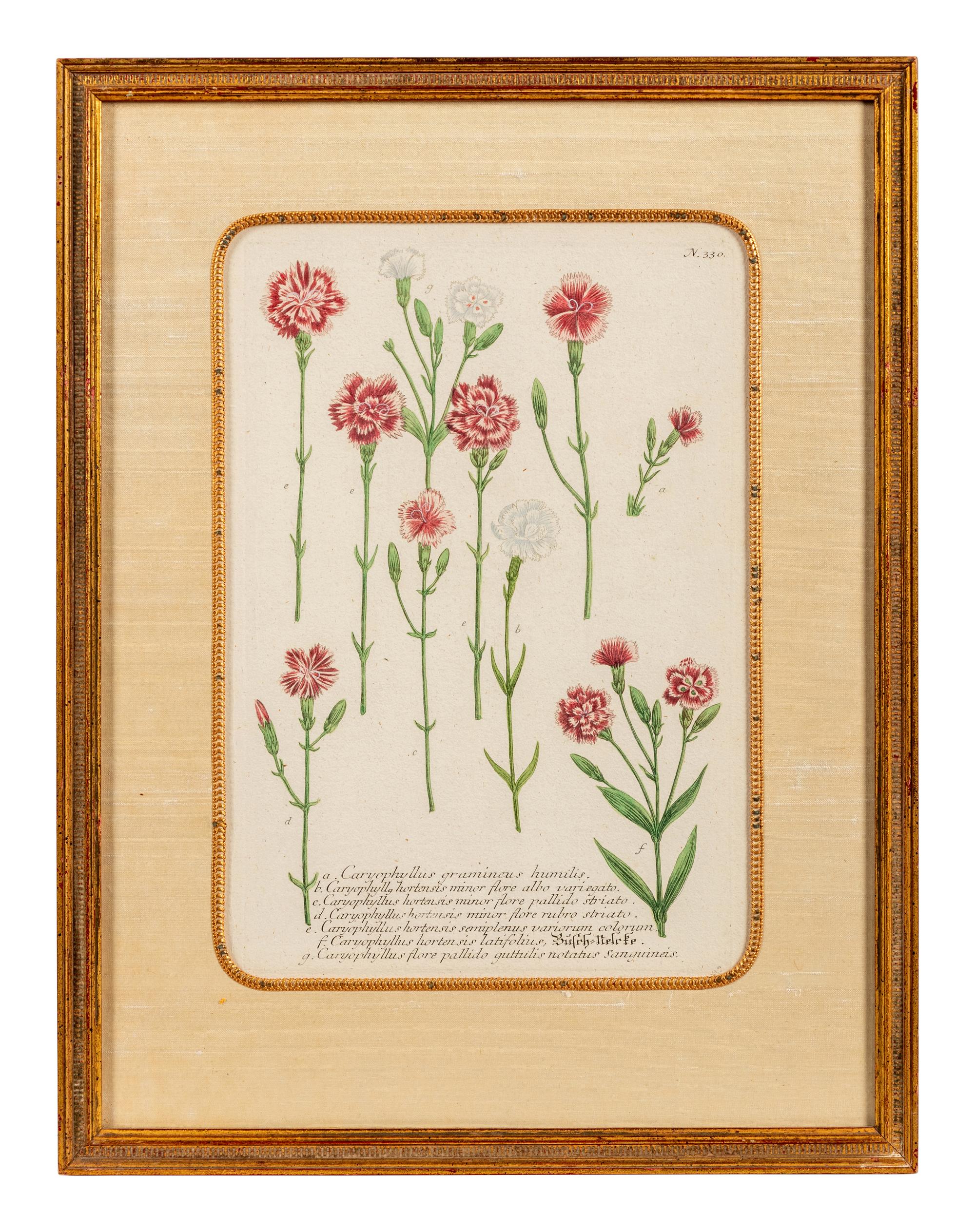 A Set of Six Hand-Colored Botanical Engravings