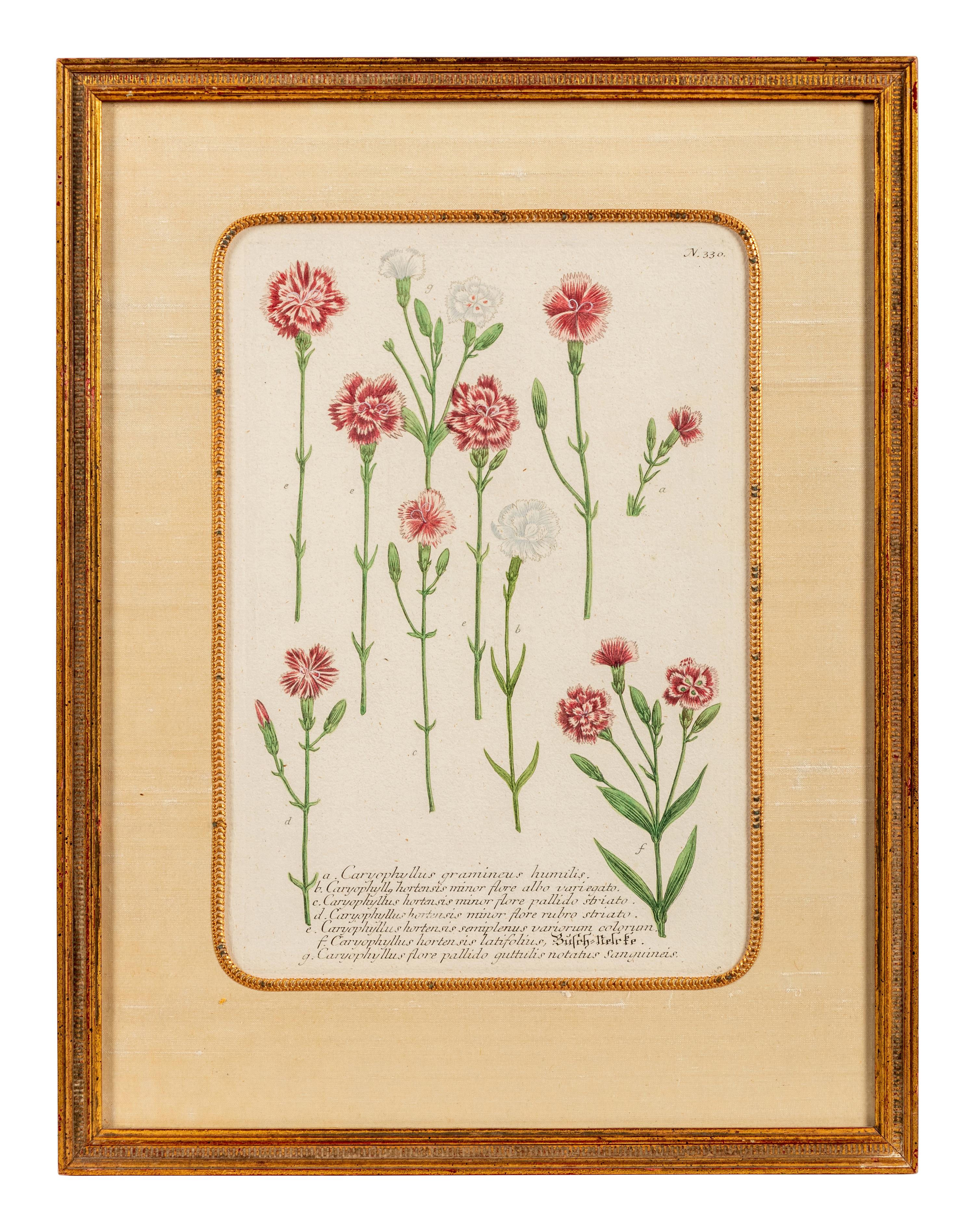 A Set of Six Hand-Colored Botanical Engravings