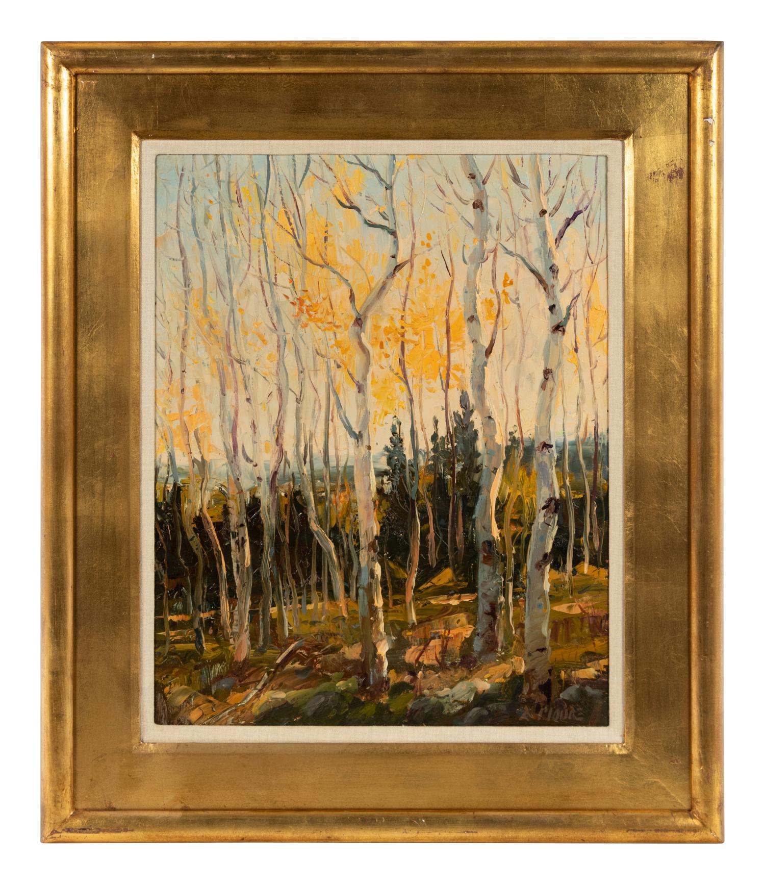 Late Fall Aspens