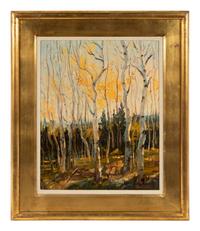 Late Fall Aspens