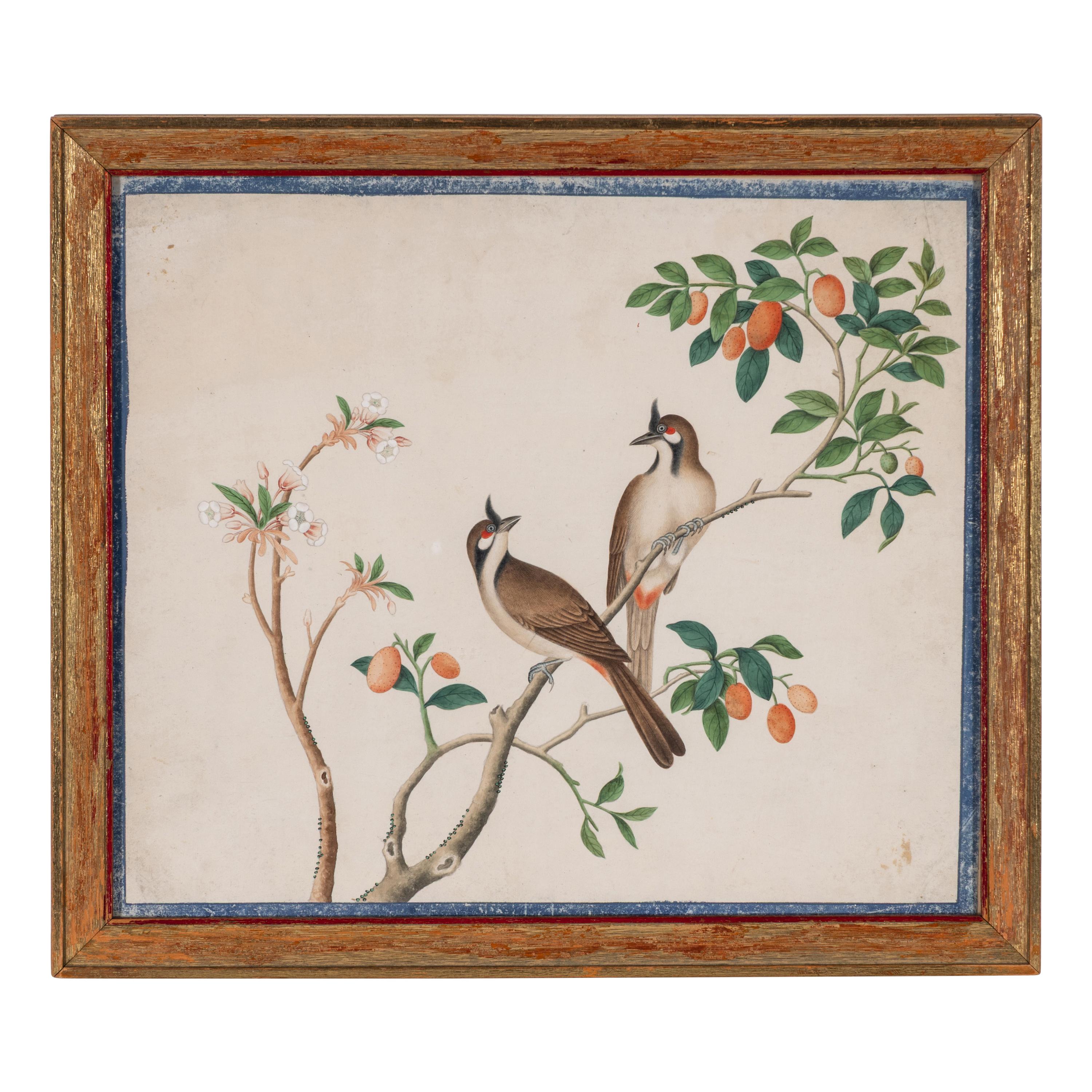 A Set of Four Chinese Watercolor Paintings