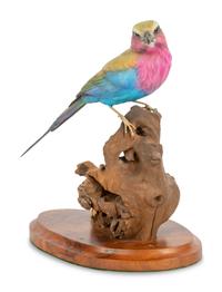 Feathered Rainbow , 2000