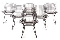 Set of Eight Chairs Knoll Associates