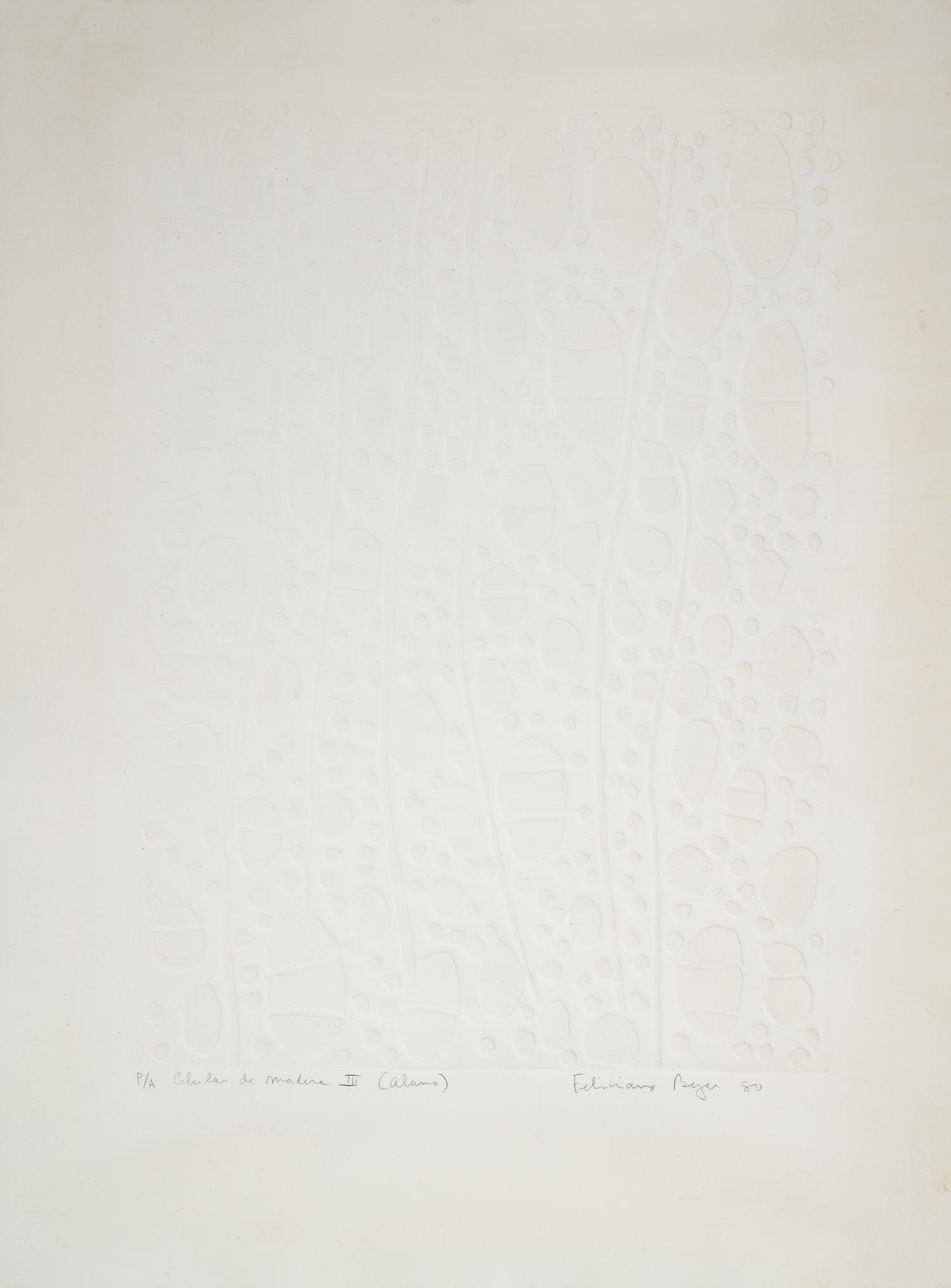 Celula de Madera III (Alamo)