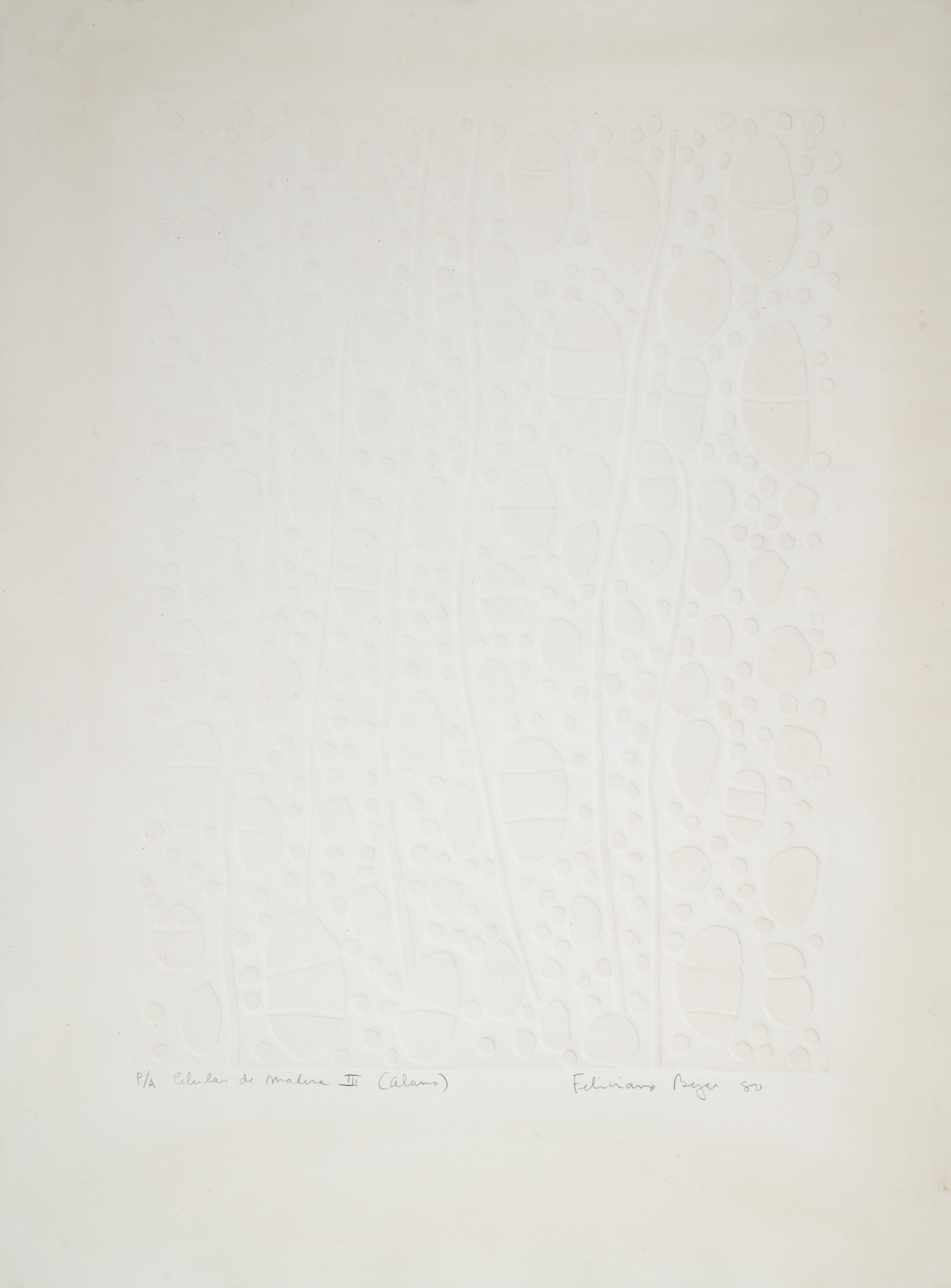 Celula de Madera III (Alamo)