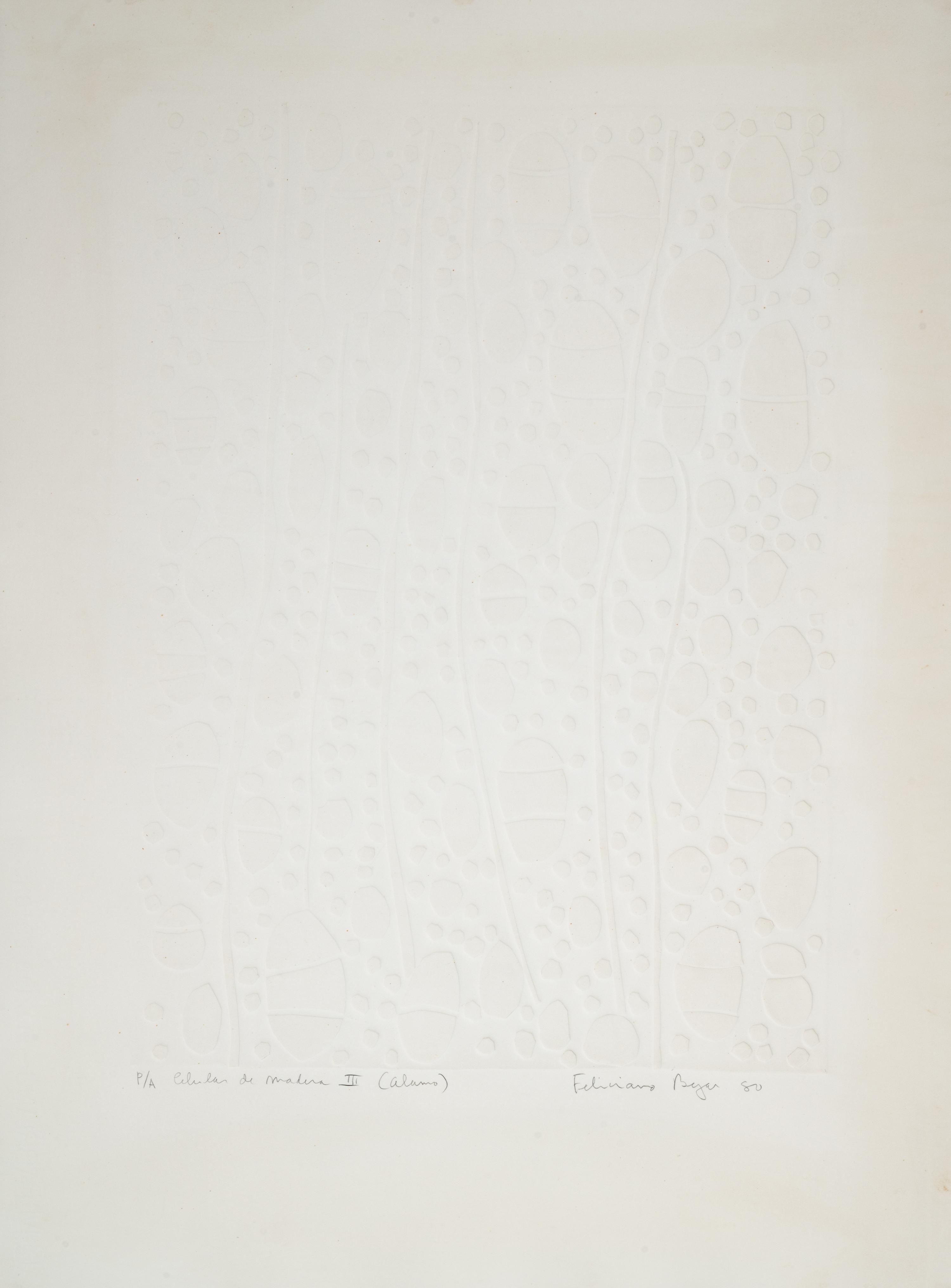 Celula de Madera III (Alamo)