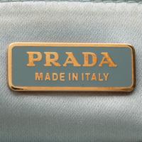 Prada, Two Crocodile Bags