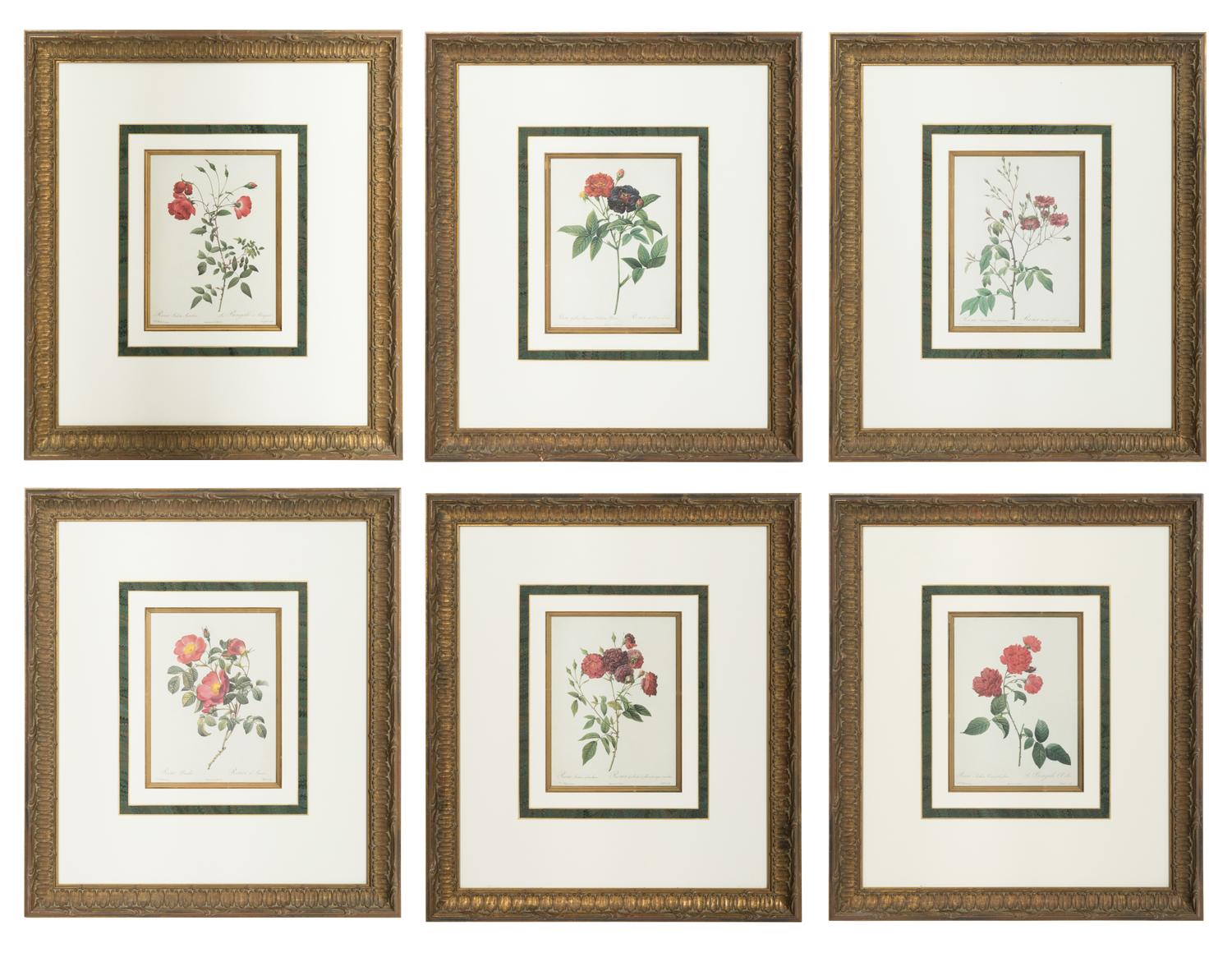 A Set of Six Chromolithographs of Roses after Pierre Joseph Redouté