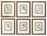 A Set of Six Chromolithographs of Roses after Pierre Joseph Redouté