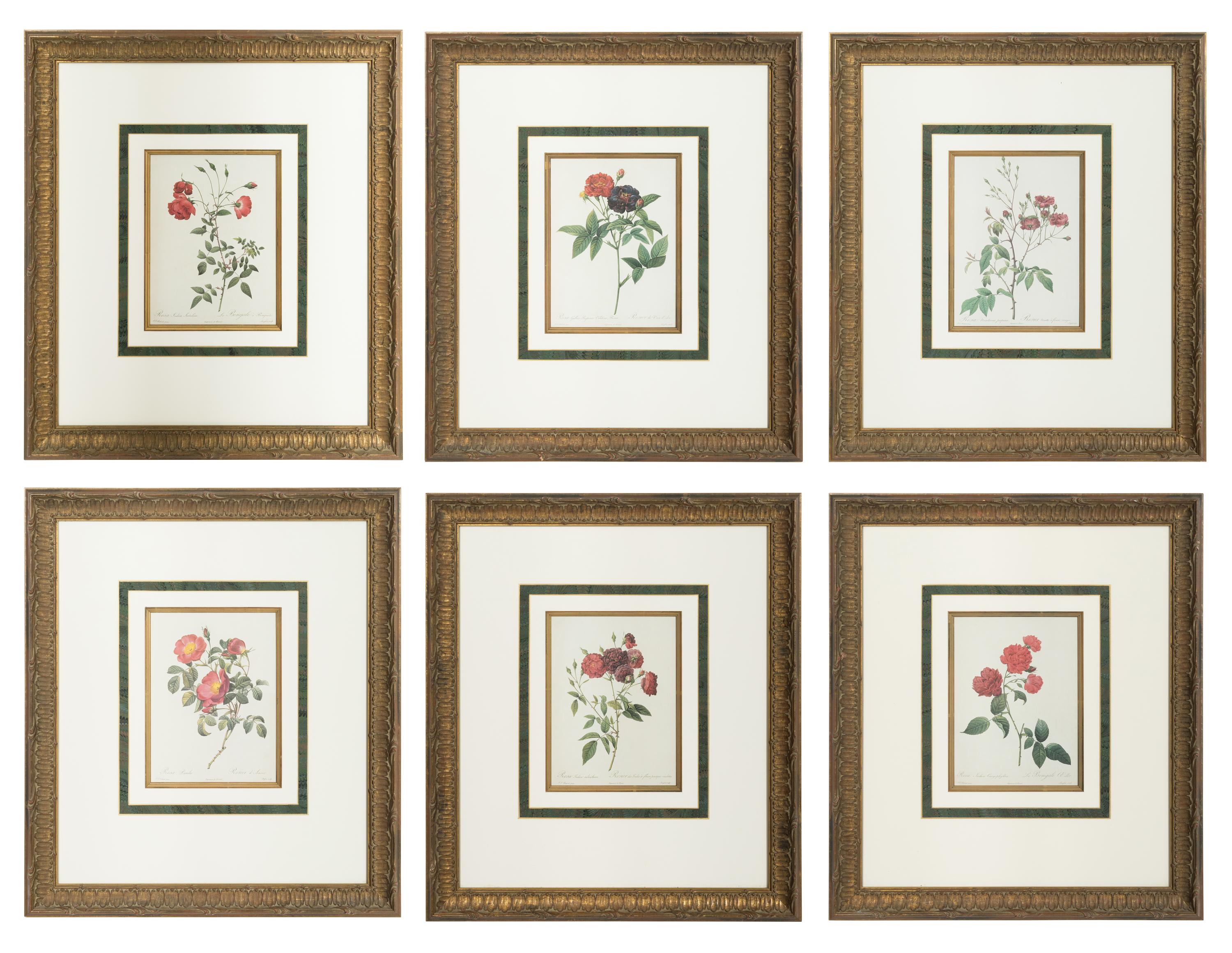 A Set of Six Chromolithographs of Roses after Pierre Joseph Redouté