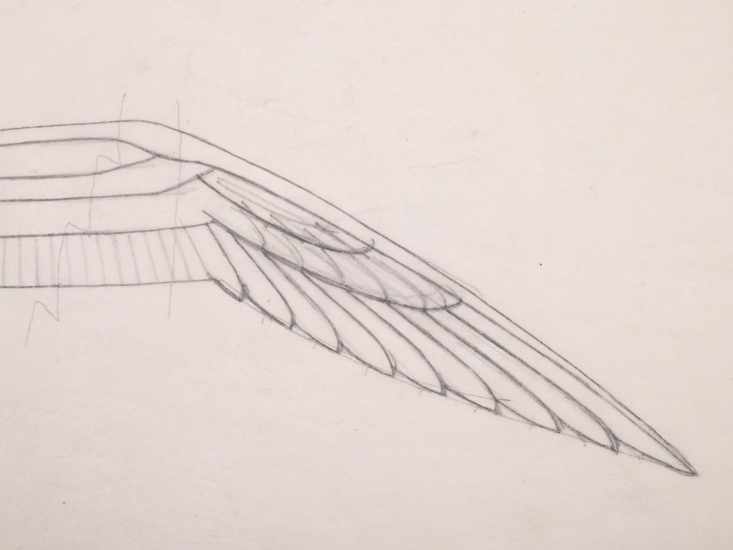 Study for Seagull , c. 1939