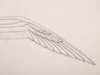 Study for Seagull , c. 1939