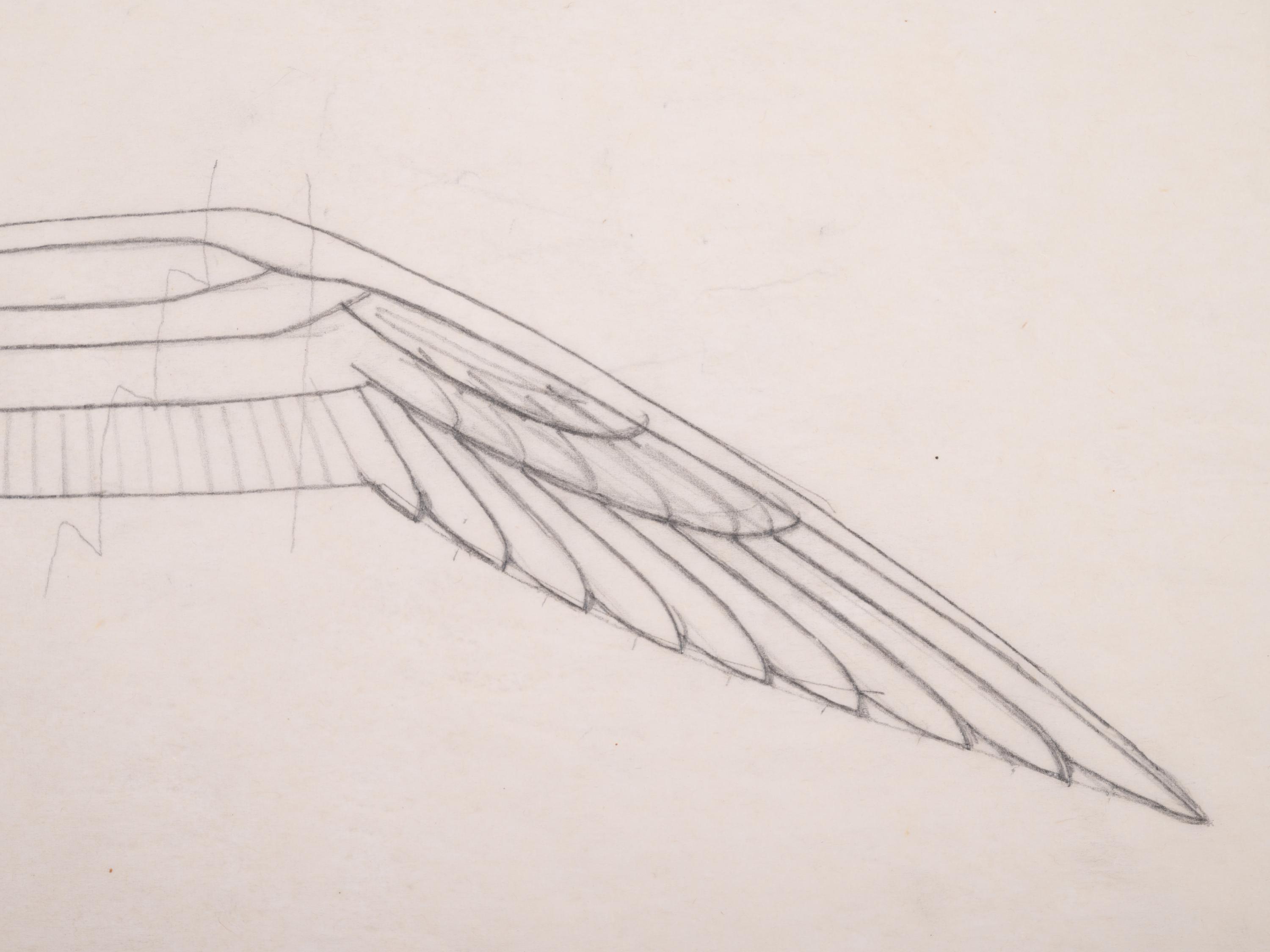 Study for Seagull , c. 1939