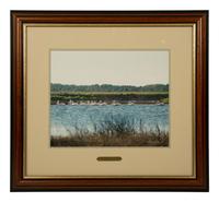 Cypress Trees, Great Blue Heron; White Pelicans, Everglades; and White Ibis in Cypress Tree
