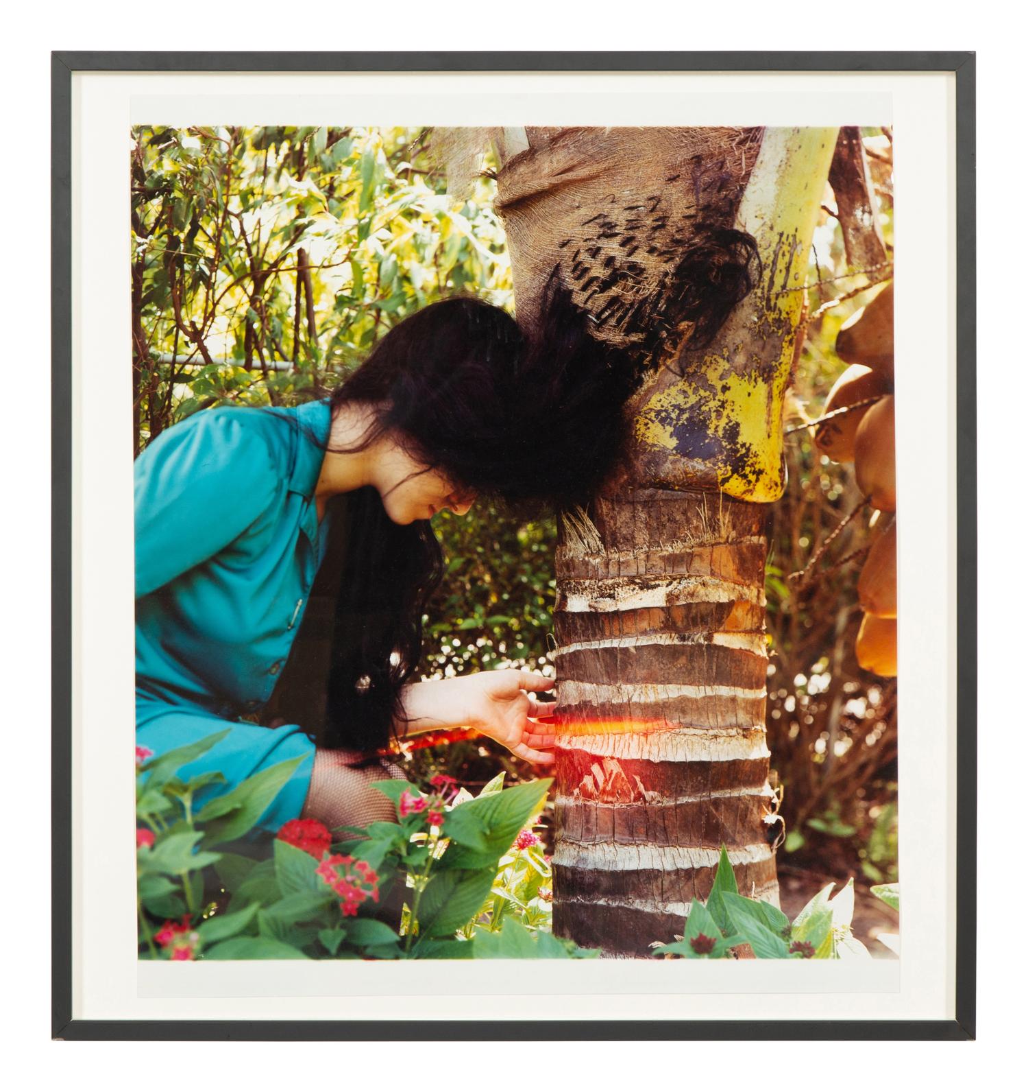 Black Hair Sewn into Coconut Palm #1, 1997