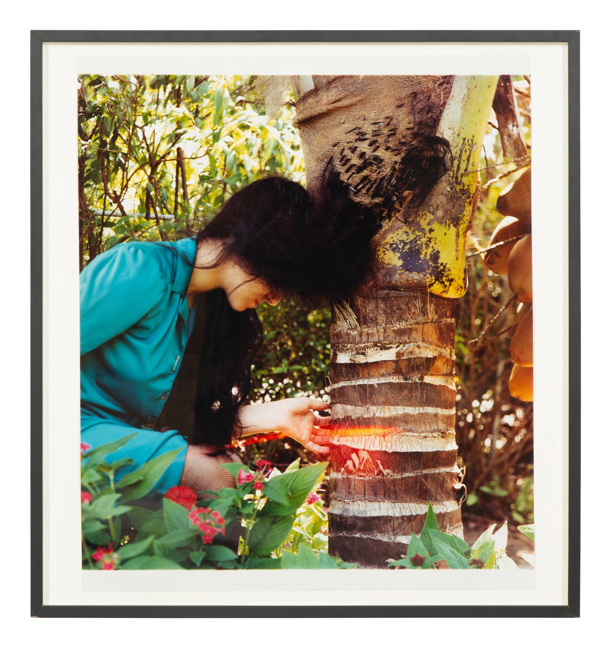 Black Hair Sewn into Coconut Palm #1, 1997