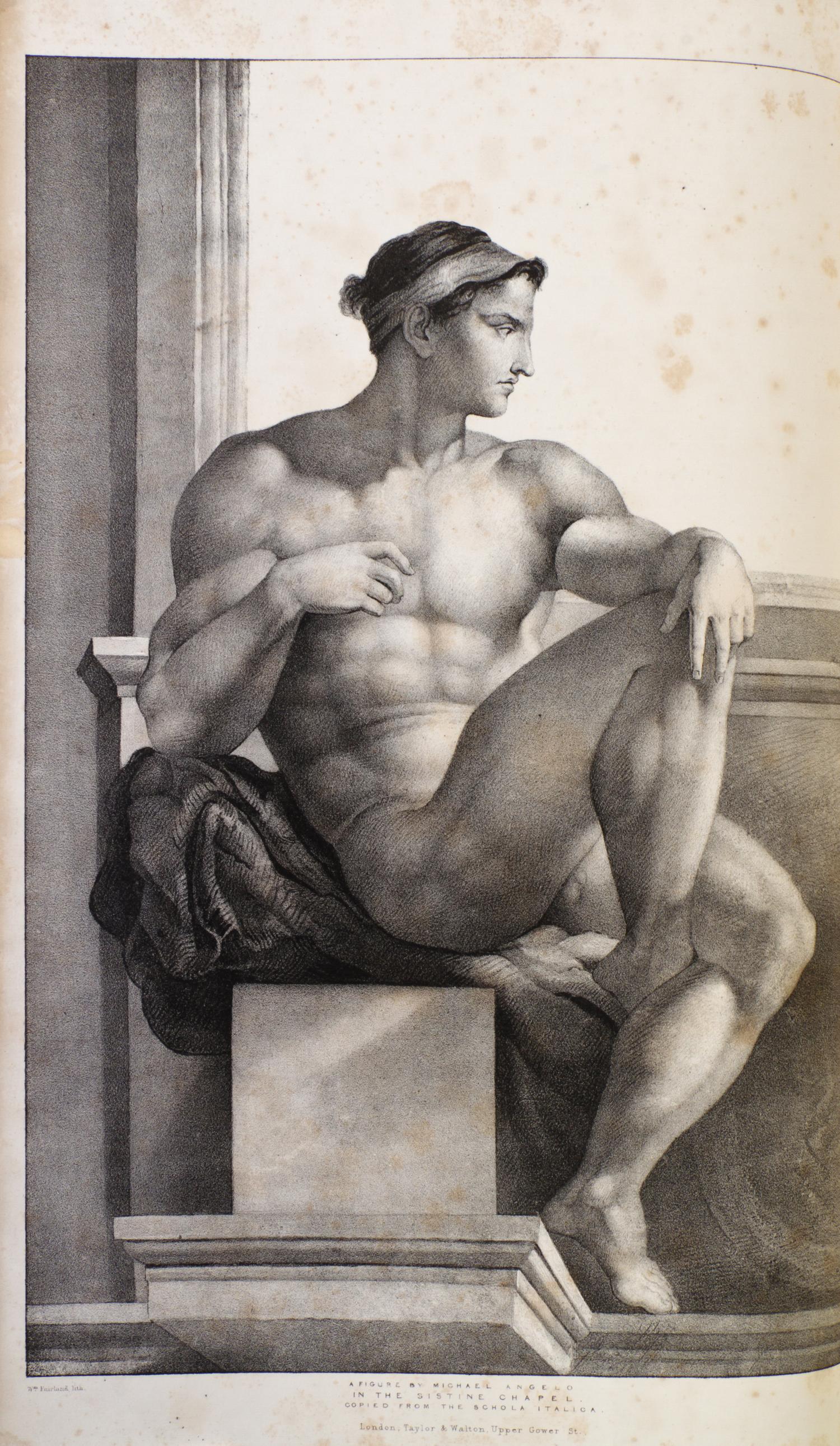 (ANATOMY) QUAIN, J. AND E. WILSON, eds. A Series of Anatomical Plates... London, 1836-1842. 3 (of 5) vols. in one. First editions.