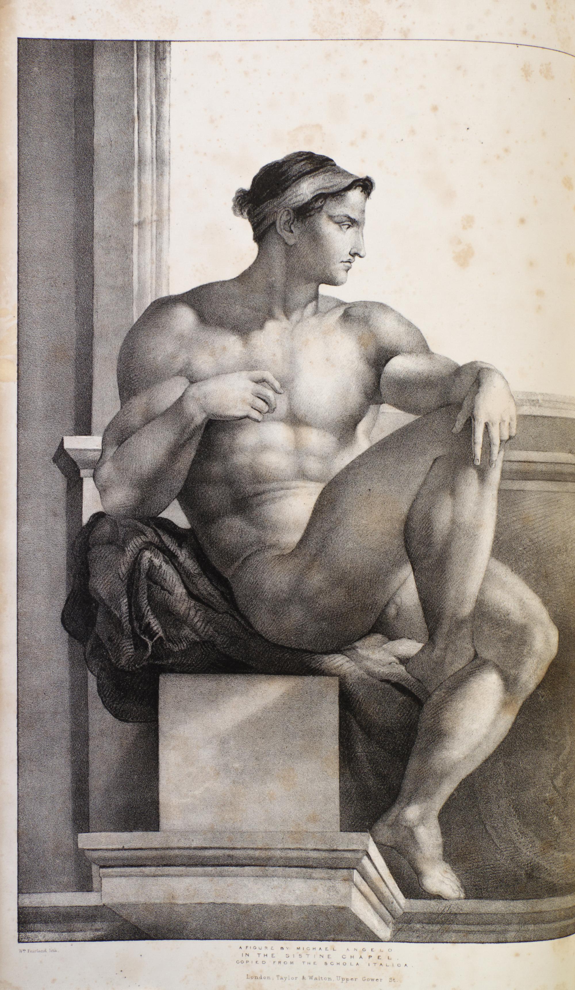 (ANATOMY) QUAIN, J. AND E. WILSON, eds. A Series of Anatomical Plates... London, 1836-1842. 3 (of 5) vols. in one. First editions.