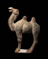A Chinese Painted Pottery Figure of a Camel