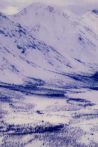 Sheenjek River II , 2002