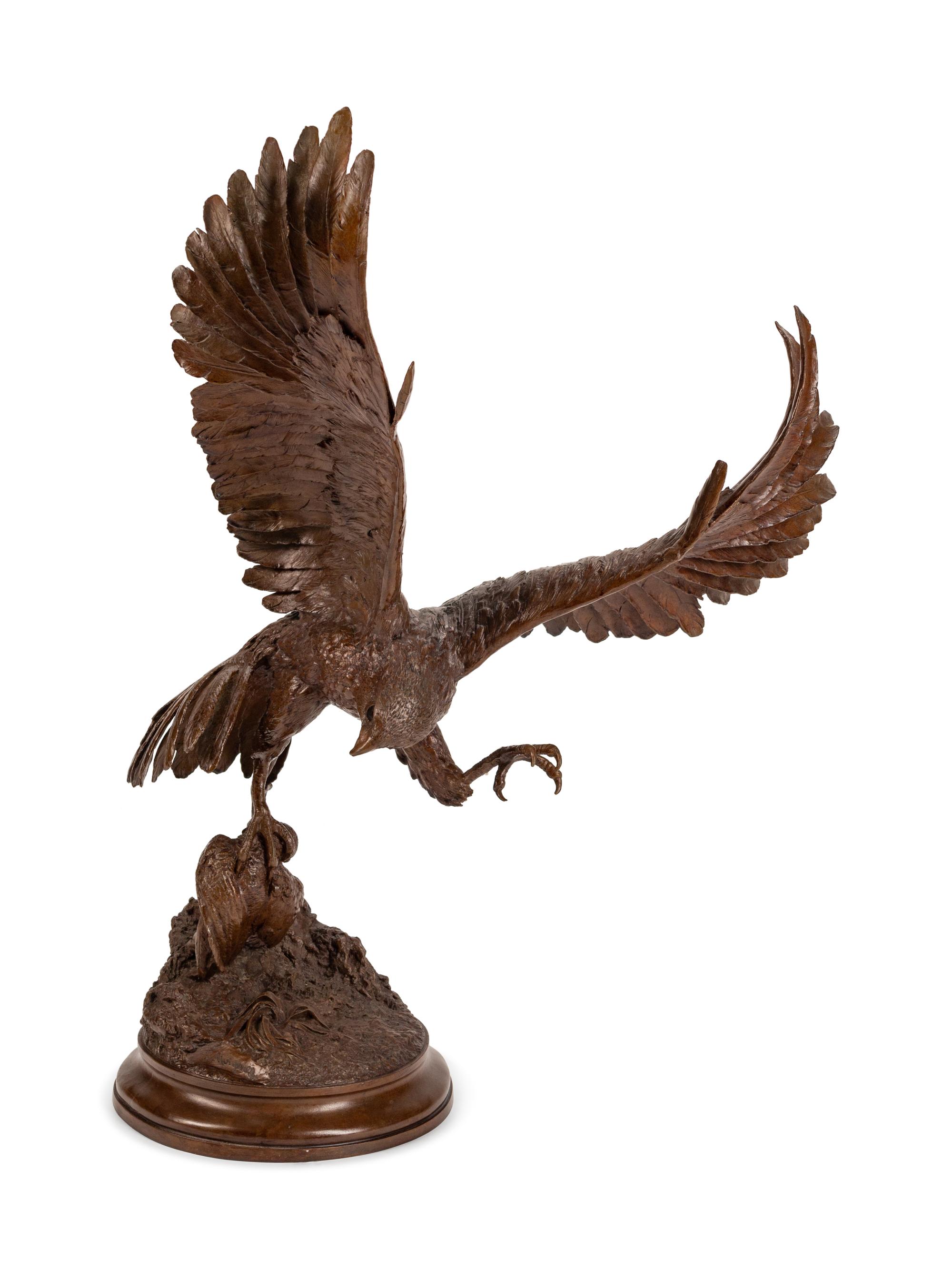 Spread-winged Eagle