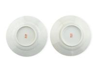 A Pair of Chinese Turquoise Glazed Famille Rose Porcelain Dishes