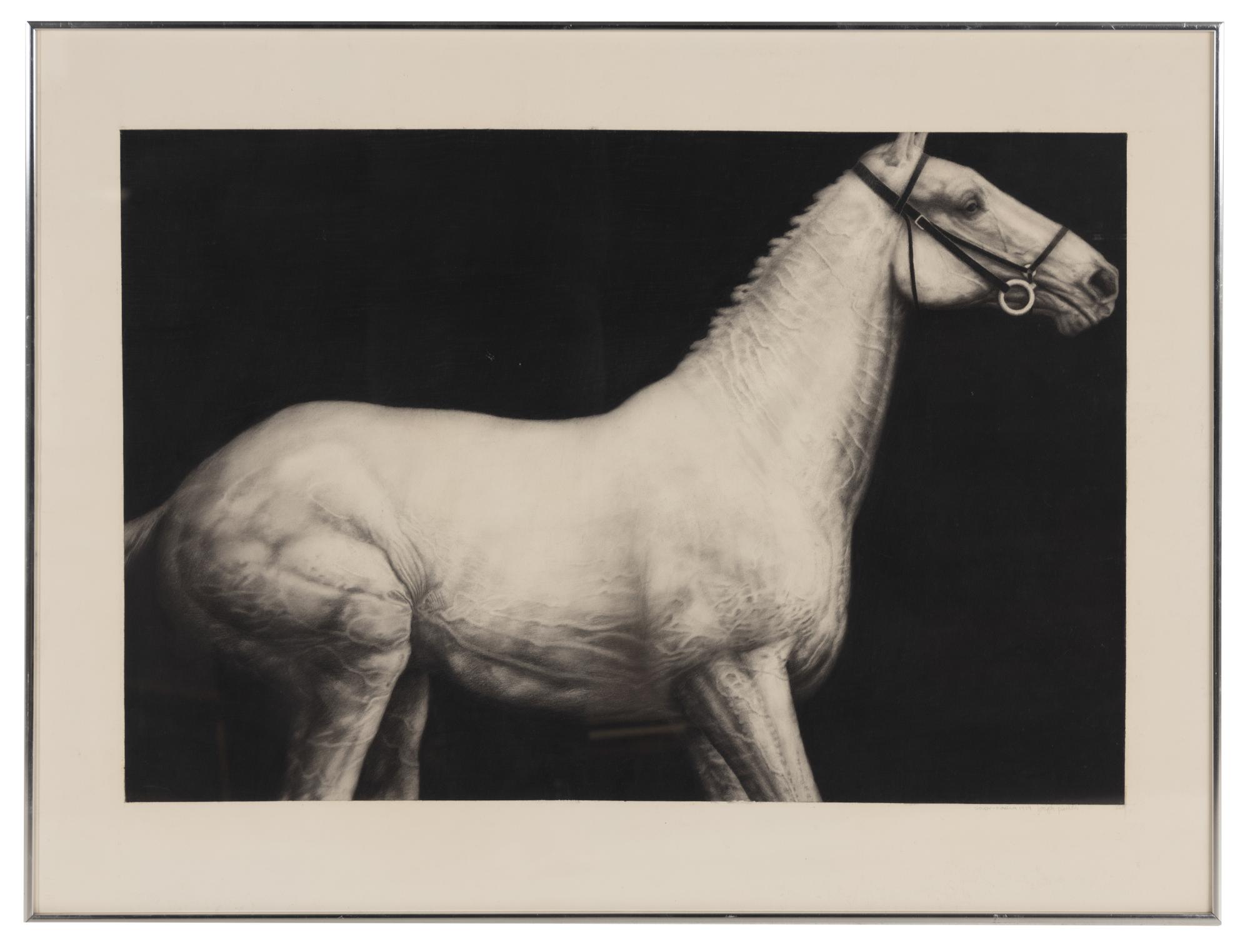 Study (Horse) , 1979