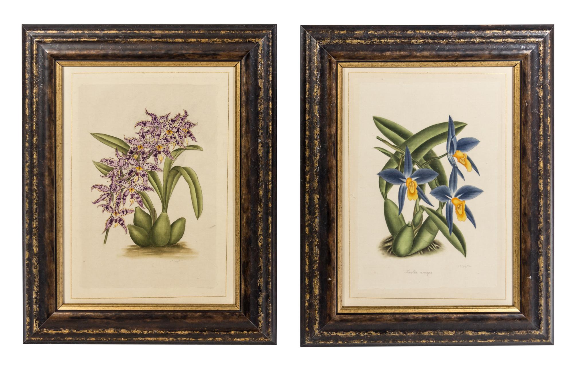 La Roche Laffitte, (French, b. 1943), Four Botanical Studies