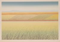 Ann McCall (Canadian, b. 1941)
