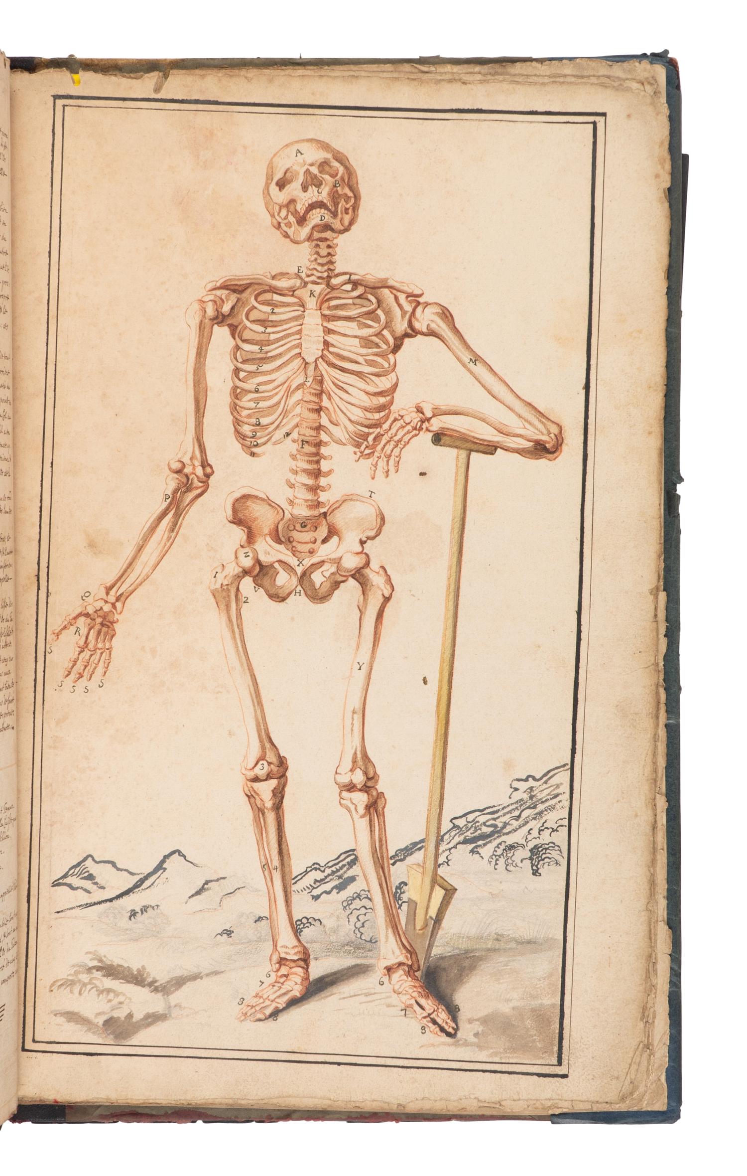 [SCIENCE & MEDICINE -MANUSCRIPT]. [After TORTEBAT, Francois (c 1616-1690), illustrator. -- PILES, Roger de (1635-1709)]. "Abrege d'Anatomie Accommode aux Arts de Peinture et de Sculpture. " [France, ca 17th- early 18th century].