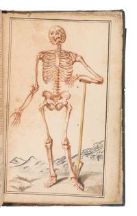 [SCIENCE & MEDICINE -MANUSCRIPT]. [After TORTEBAT, Francois (c 1616-1690), illustrator. -- PILES, Roger de (1635-1709)]. "Abrege d'Anatomie Accommode aux Arts de Peinture et de Sculpture. " [France, ca 17th- early 18th century].