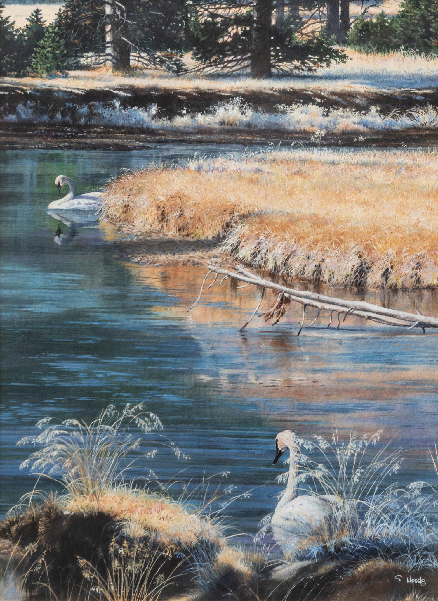 Morning on the Madison , 1993