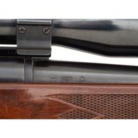 * Remington Model 700 with Scope