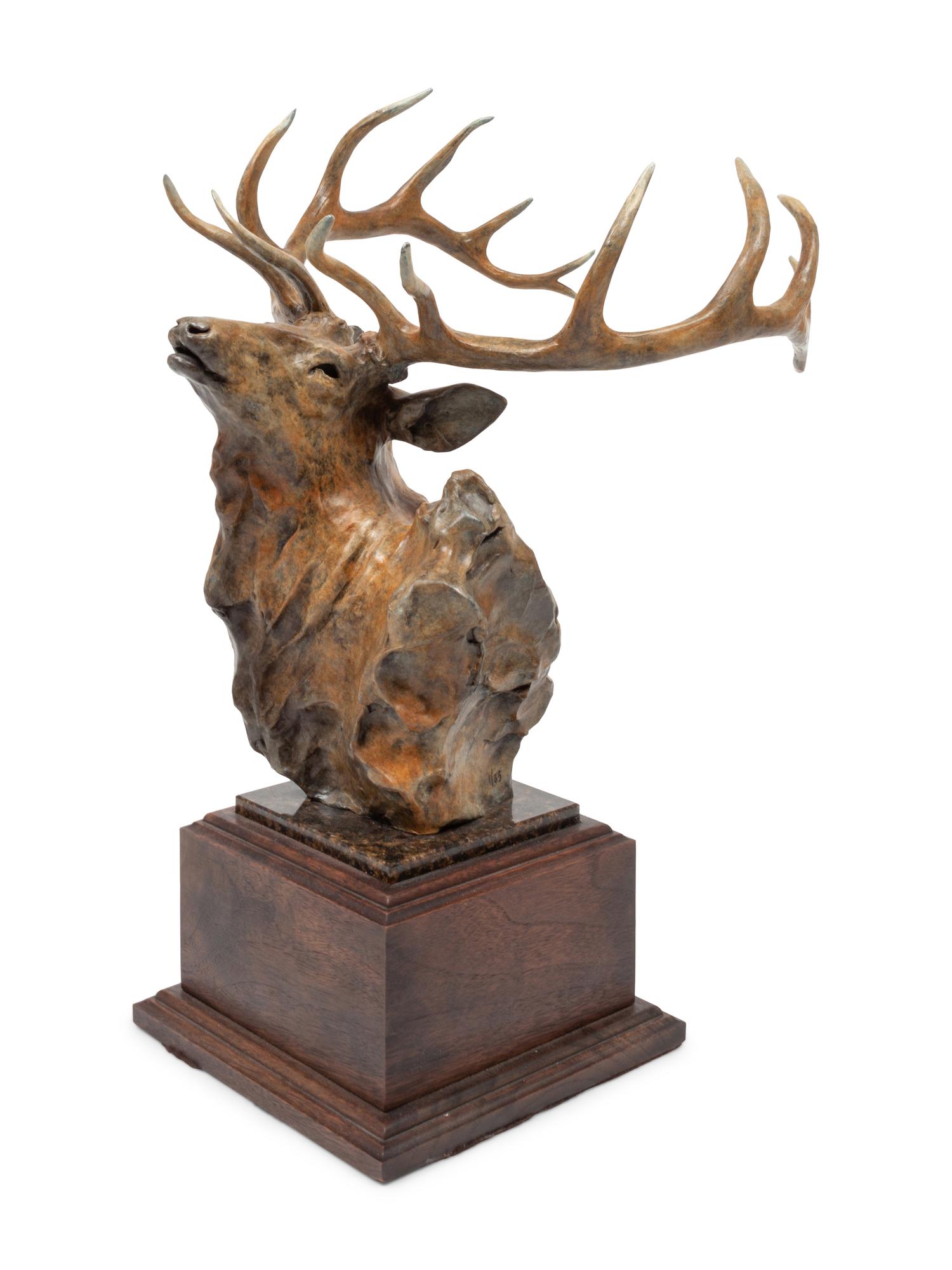 Elk Head , edition 1/35