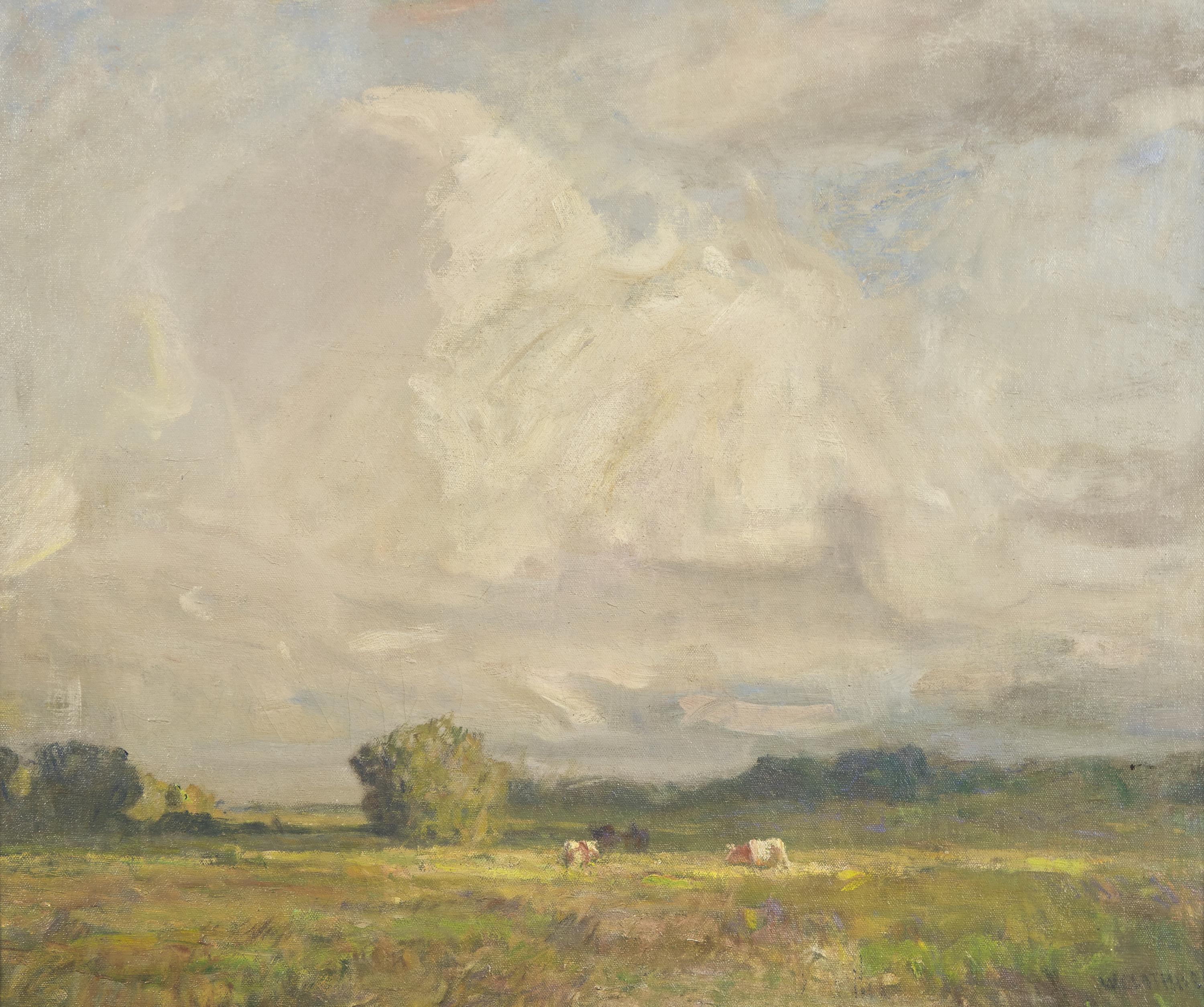 Summer Meadow