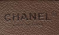 Chanel Jungle Stroll Shoulder Bag, 2018
