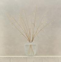 Grasses , 1995