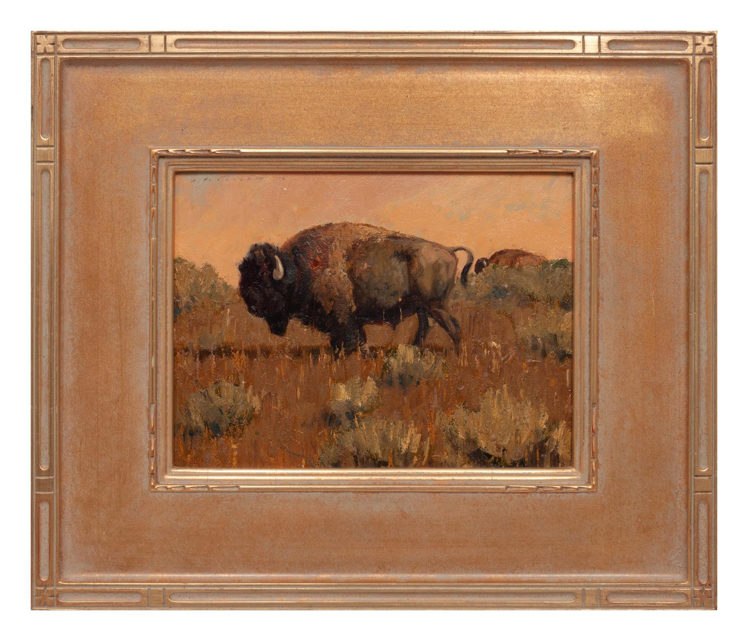Plains Buffalo